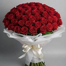 Букет 101 Красная роза Блэк Мэджик в Анциферово