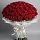 Букет 101 Красная роза Блэк Мэджик в Анциферово