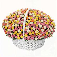 Премиум букет из: Розы в Анциферово