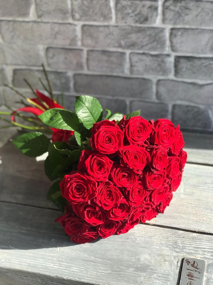 Букет Красные розы Фридом в Анциферово