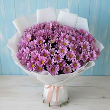 Букет цветов из:  Хризантемы в Анциферово