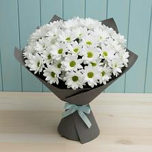 Букет цветов из:  Хризантемы в Анциферово