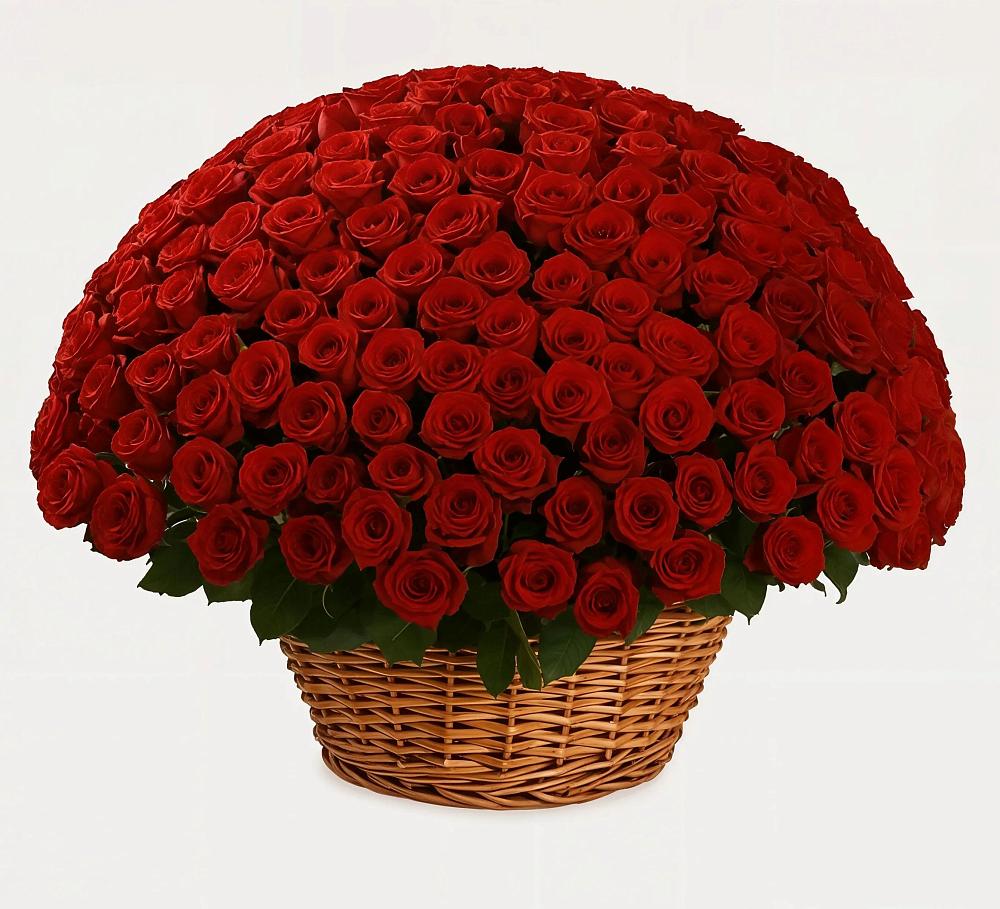 Премиум букет из: Розы в Анциферово