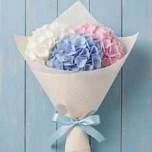 Букет цветов из:  Гортензия #REPLACE_PRED# Анциферово