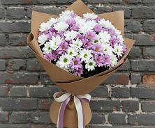 Букет цветов из:  Хризантемы в Анциферово