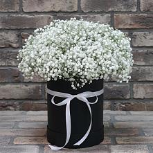 Цветочная композиция из Гипсофила в шляпной коробке #REPLACE_PRED# Анциферово