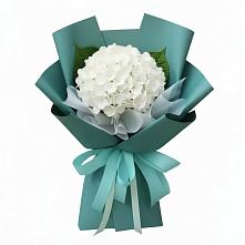 Букет цветов из:  Гортензия в Анциферово